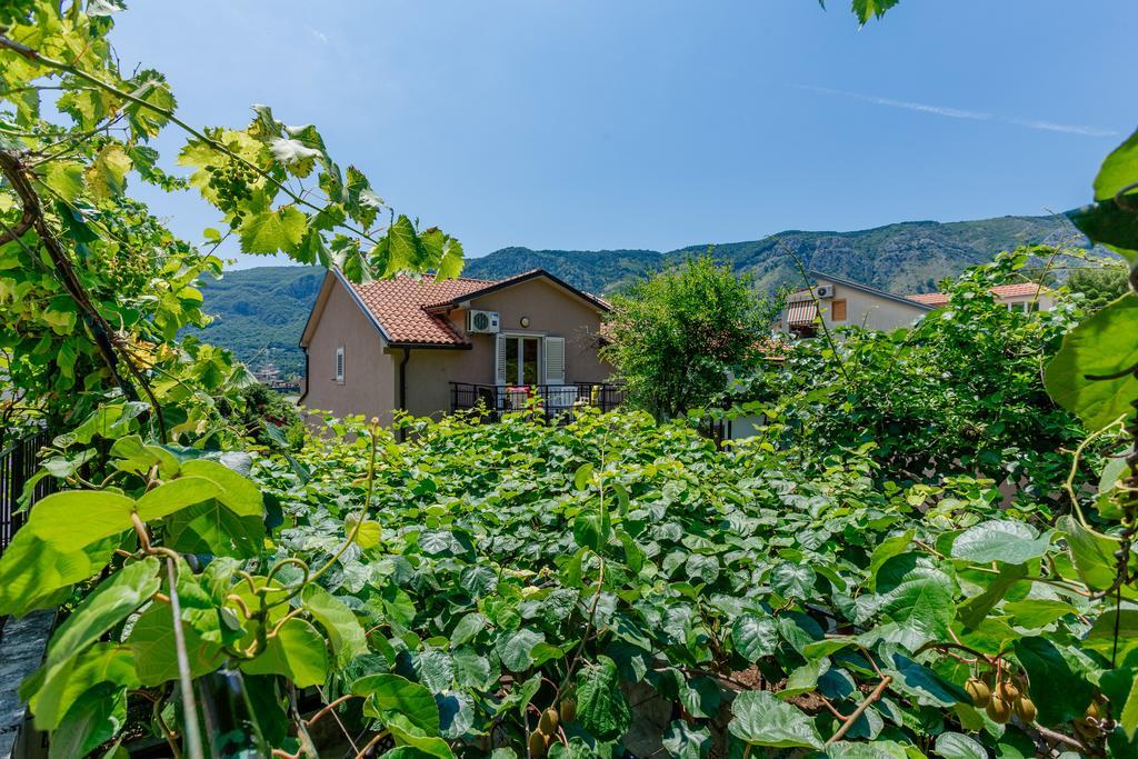 Spacious Central Magik Kotor Exterior photo